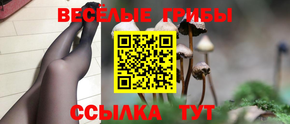 Псилоцибиновые грибы Cubensis  Псилоцибиновые грибы ЛСД  Вольск  Вход с VPN 